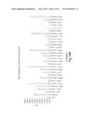 Method of Treating Ovarian and Renal Cancer Using Antibodies Against T     Cell Immunoglobulin Domain And Mucin Domain 1 (TIM-1) Antigen diagram and image