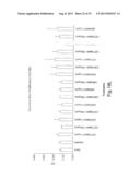 Method of Treating Ovarian and Renal Cancer Using Antibodies Against T     Cell Immunoglobulin Domain And Mucin Domain 1 (TIM-1) Antigen diagram and image