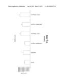 Method of Treating Ovarian and Renal Cancer Using Antibodies Against T     Cell Immunoglobulin Domain And Mucin Domain 1 (TIM-1) Antigen diagram and image