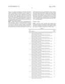 Method of Treating Ovarian and Renal Cancer Using Antibodies Against T     Cell Immunoglobulin Domain And Mucin Domain 1 (TIM-1) Antigen diagram and image