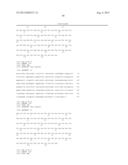 Method of Treating Ovarian and Renal Cancer Using Antibodies Against T     Cell Immunoglobulin Domain And Mucin Domain 1 (TIM-1) Antigen diagram and image