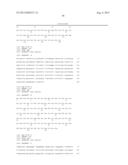 Method of Treating Ovarian and Renal Cancer Using Antibodies Against T     Cell Immunoglobulin Domain And Mucin Domain 1 (TIM-1) Antigen diagram and image