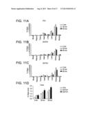 NOVEL RADIOTRACER diagram and image