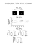 NOVEL RADIOTRACER diagram and image