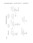 FLUOROPHORE CHELATED LANTHANIDE LUMINESCENT PROBES WITH IMPROVED QUANTUM     EFFICIENCY diagram and image