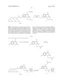 FLUOROPHORE CHELATED LANTHANIDE LUMINESCENT PROBES WITH IMPROVED QUANTUM     EFFICIENCY diagram and image