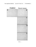 METHOD FOR INDUCING DIFFERENTIATION OF MESENCHYMAL STEM CELLS TO NERVE     CELLS USING SOUND WAVES diagram and image