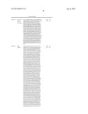 INNOVATIVE DISCOVERY OF THERAPEUTIC, DIAGNOSTIC, AND ANTIBODY COMPOSITIONS     RELATED TO PROTEIN FRAGMENTS OF VALYL-TRNA SYNTHETASES diagram and image