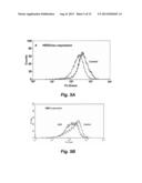 BISPECIFIC SINGLE CHAIN Fv ANTIBODY MOLECULES AND METHODS OF USE THEREOF diagram and image