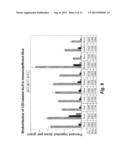 BISPECIFIC SINGLE CHAIN Fv ANTIBODY MOLECULES AND METHODS OF USE THEREOF diagram and image