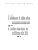 BISPECIFIC SINGLE CHAIN Fv ANTIBODY MOLECULES AND METHODS OF USE THEREOF diagram and image