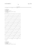 BISPECIFIC SINGLE CHAIN Fv ANTIBODY MOLECULES AND METHODS OF USE THEREOF diagram and image