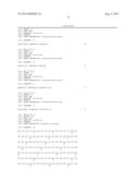 BISPECIFIC SINGLE CHAIN Fv ANTIBODY MOLECULES AND METHODS OF USE THEREOF diagram and image