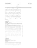 BISPECIFIC SINGLE CHAIN Fv ANTIBODY MOLECULES AND METHODS OF USE THEREOF diagram and image