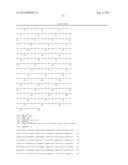 BISPECIFIC SINGLE CHAIN Fv ANTIBODY MOLECULES AND METHODS OF USE THEREOF diagram and image