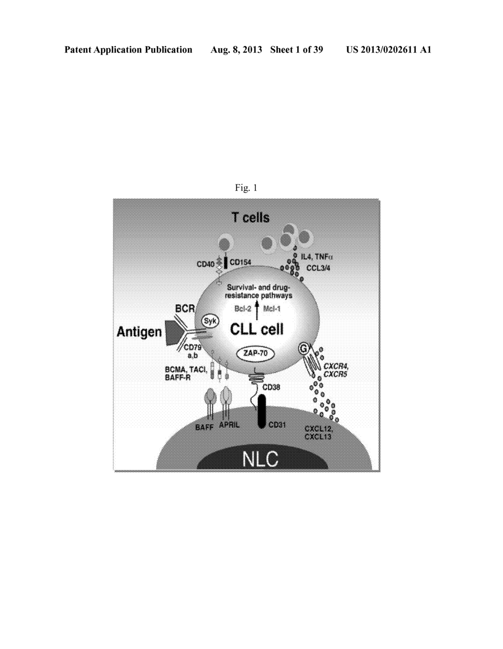 USE OF INHIBITORS OF BRUTON'S TYROSINE KINASE (BTK) - diagram, schematic, and image 02