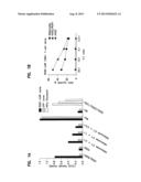 METHOD FOR THE TREATMENT OF OBESITY diagram and image