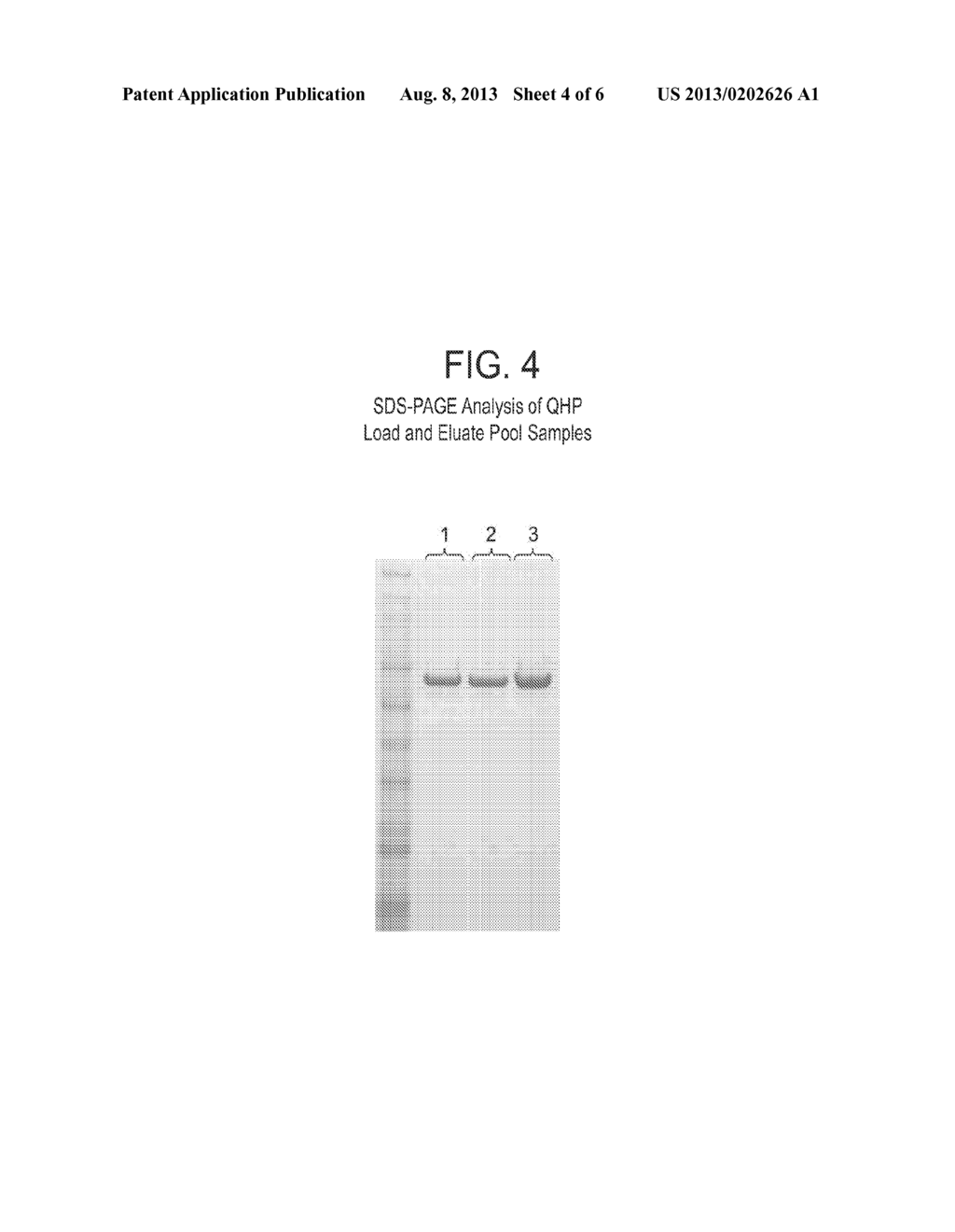 METHOD FOR PURIFYING ACTIVE POLYPEPTIDES OR IMMUNOCONJUGATES - diagram, schematic, and image 05