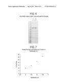 METHOD FOR PURIFYING ACTIVE POLYPEPTIDES OR IMMUNOCONJUGATES diagram and image