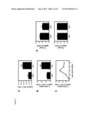 Dengue Virus (DV) Polypeptide Sequences, T Cell Epitopes and Methods and     Uses Thereof diagram and image