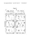 VACCINE AGAINST BETA-HERPESVIRUS INFECTION AND USE THEREOF diagram and image