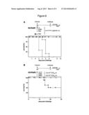 VACCINE AGAINST BETA-HERPESVIRUS INFECTION AND USE THEREOF diagram and image