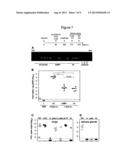 VACCINE AGAINST BETA-HERPESVIRUS INFECTION AND USE THEREOF diagram and image