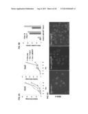 ACTIVATION OF INNATE IMMUNITY FOR NUCLEAR REPROGRAMMING OF SOMATIC CELLS diagram and image