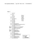 ACTIVATION OF INNATE IMMUNITY FOR NUCLEAR REPROGRAMMING OF SOMATIC CELLS diagram and image