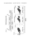 ACTIVATION OF INNATE IMMUNITY FOR NUCLEAR REPROGRAMMING OF SOMATIC CELLS diagram and image