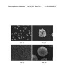 FUNCTIONAL NANOSTRUCTURED CHITOSAN COATINGS FOR MEDICAL INSTRUMENTS AND     DEVICES diagram and image