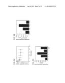 Controlled Delivery of TLR Agonists in Structural Polymeric Devices diagram and image