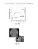 Controlled Delivery of TLR Agonists in Structural Polymeric Devices diagram and image