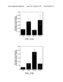 Controlled Delivery of TLR Agonists in Structural Polymeric Devices diagram and image