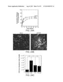 Controlled Delivery of TLR Agonists in Structural Polymeric Devices diagram and image