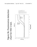 STEP-WISE DETECTION OF MULTIPLE TARGET SEQUENCES IN ISOTHERMAL NUCLEIC     ACID AMPLIFICATION REACTIONS diagram and image