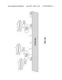 METHODS AND SYSTEMS FOR ISOLATING, STORING, AND ANALYZING VESICLES diagram and image