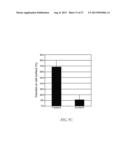 METHOD FOR DETECTING INVASIVE MICROVESCLES DERIVED FROM TUMOR CELLS diagram and image