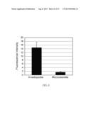 METHOD FOR DETECTING INVASIVE MICROVESCLES DERIVED FROM TUMOR CELLS diagram and image