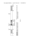 PEPTIDE APTAMERS FOR MANIPULATING PROTEIN FUNCTION diagram and image