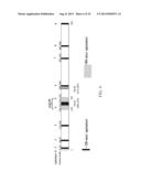 PEPTIDE APTAMERS FOR MANIPULATING PROTEIN FUNCTION diagram and image