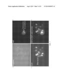 PEPTIDE APTAMERS FOR MANIPULATING PROTEIN FUNCTION diagram and image