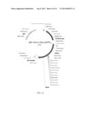 PEPTIDE APTAMERS FOR MANIPULATING PROTEIN FUNCTION diagram and image