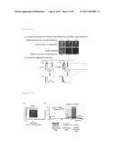 METHOD FOR DETERMINING CANCER ONSET OR CANCER ONSET RISK diagram and image