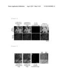 METHOD FOR DETERMINING CANCER ONSET OR CANCER ONSET RISK diagram and image