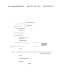 CLOSED NUCLEIC ACID STRUCTURES diagram and image