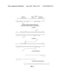 CLOSED NUCLEIC ACID STRUCTURES diagram and image