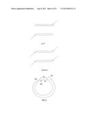 CLOSED NUCLEIC ACID STRUCTURES diagram and image