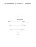 CLOSED NUCLEIC ACID STRUCTURES diagram and image