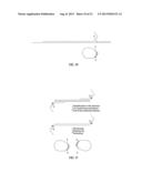 CLOSED NUCLEIC ACID STRUCTURES diagram and image